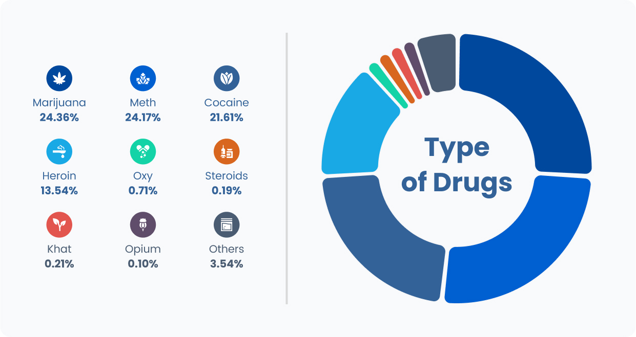 The relative percent of drug arrests by type of drug